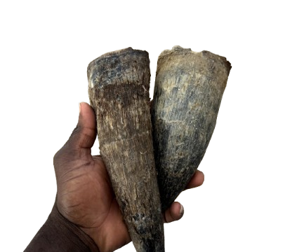 IMG_1413-removebg-preview