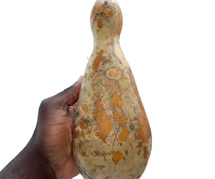 IMG_0030-removebg-preview