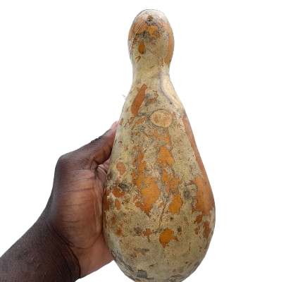 IMG_0030-removebg-preview IMG_0030-removebg-preview