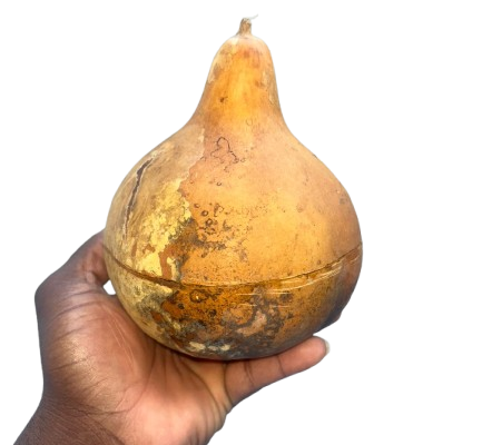 WhatsApp_Image_2026-02-03_at_22.32.42__1_-removebg-preview WhatsApp_Image_2026-02-03_at_22.32.42__1_-removebg-preview