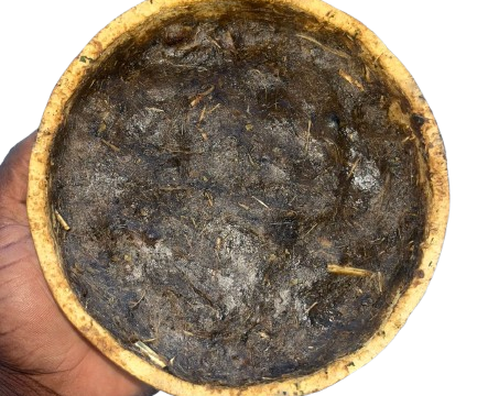 WhatsApp_Image_2026-02-03_at_22.32.44-removebg-preview