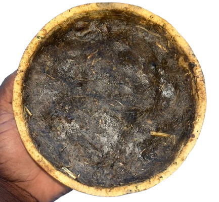 WhatsApp_Image_2026-02-03_at_22.32.44-removebg-preview WhatsApp_Image_2026-02-03_at_22.32.44-removebg-preview