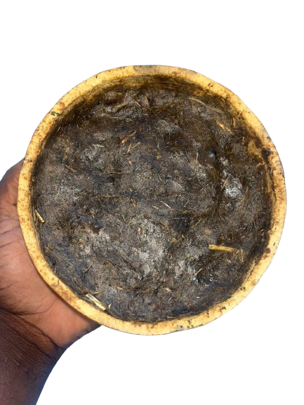 WhatsApp_Image_2026-02-03_at_22.32.44-removebg-preview